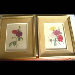 50% off - Pair Framed Coloured P J Redoute Antique Floral Book Plates, Roses & Carnations