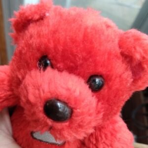 Vntg Hershey Red Plush Valentines Bear w Embroidered Foot & Kiss on Chest, 7"